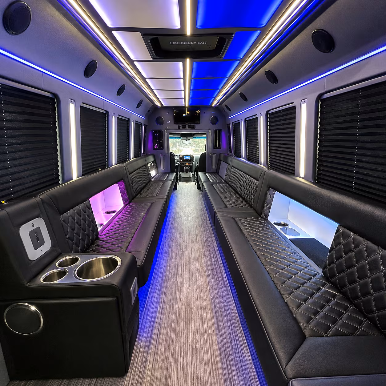 mardi gras party bus rental